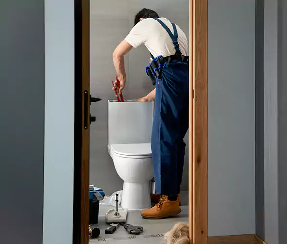 Professional Plumbers for Toilet Bowl Replacement in Somerville, MA: Schedule Affordable Toilet Replacement Services With Us