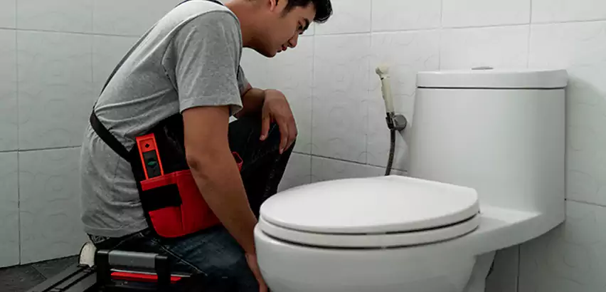 Toilet Repair in Somerville