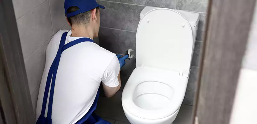 Toilet Lid Replacement in Somerville