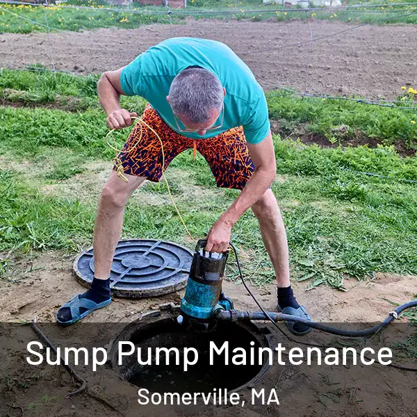  Sump Pump Maintenance Somerville, MA