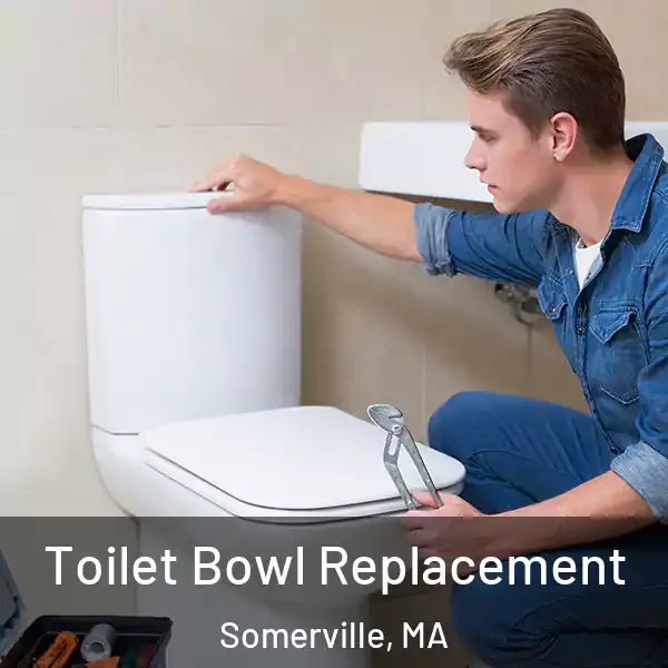  Toilet Bowl Replacement Somerville, MA