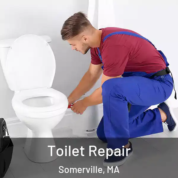  Toilet Repair Somerville, MA